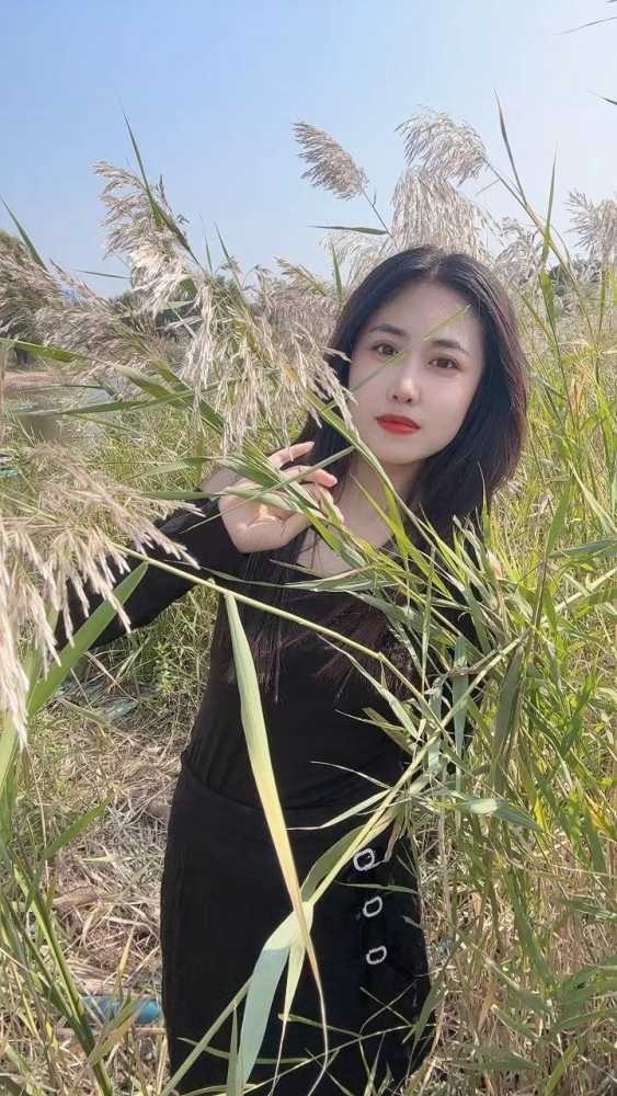 精彩照片